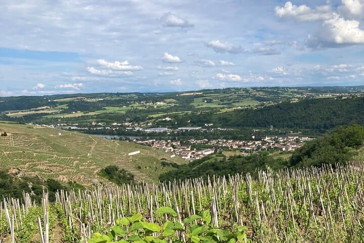Breathtaking views of the vineyards and the Rhone