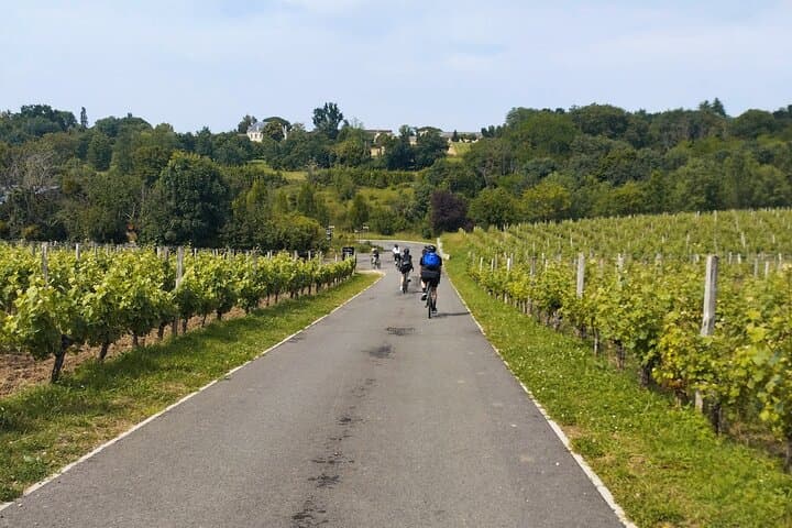 Bordeaux Monuments, Vineyards & winery stop Gravel Bike Tour