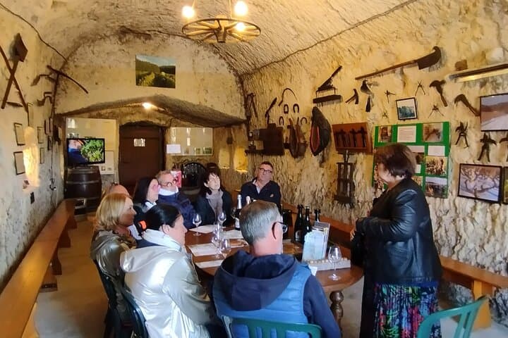 Scooter tour “Discovery of the Terroir” between Tours and Amboise