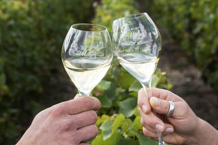 Champagne Tasting & Vineyard Tour in France’s Marne Valley