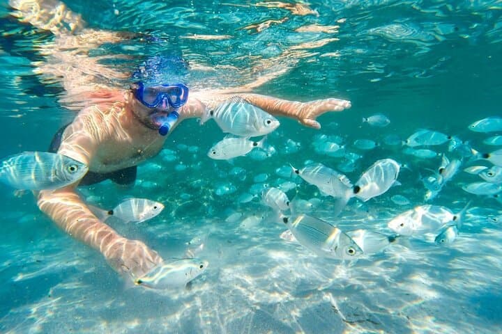 Cruise to Bonifacio and Snorkeling to the Lavezzi Islands