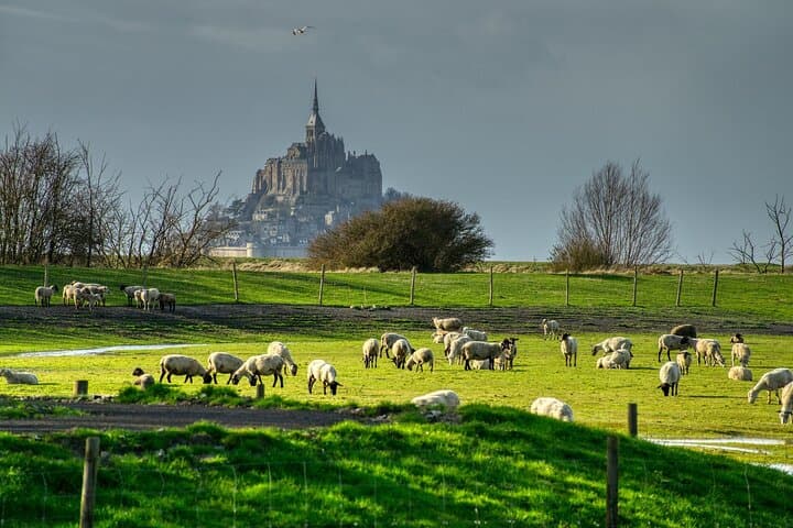 2 Hours Private Walking Tour of Mont Saint Michel
