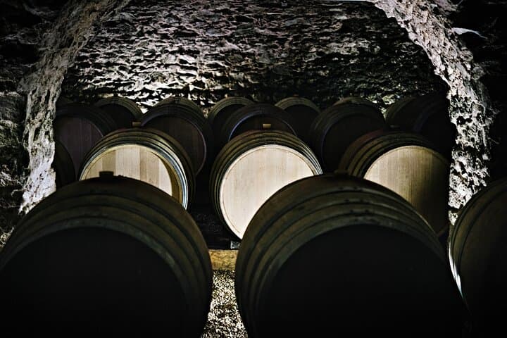 Secular cellar of the 16th century