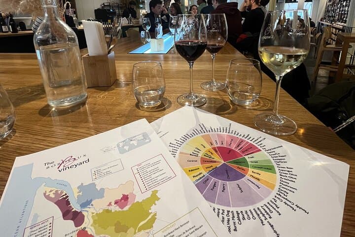 Bordeaux: Wine tasting with a DipWSET, CMS Certified Sommelier