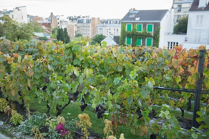 Group tour of the Montmartre district in Italian