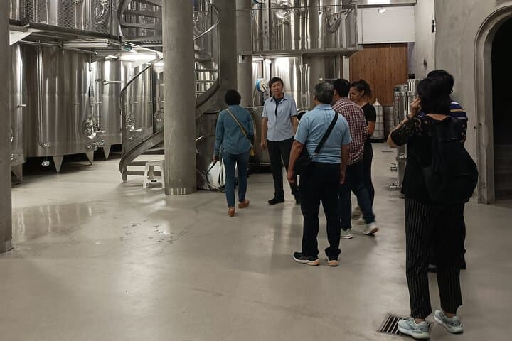 Burgundy wine tour - Private tour with professional tour guide !