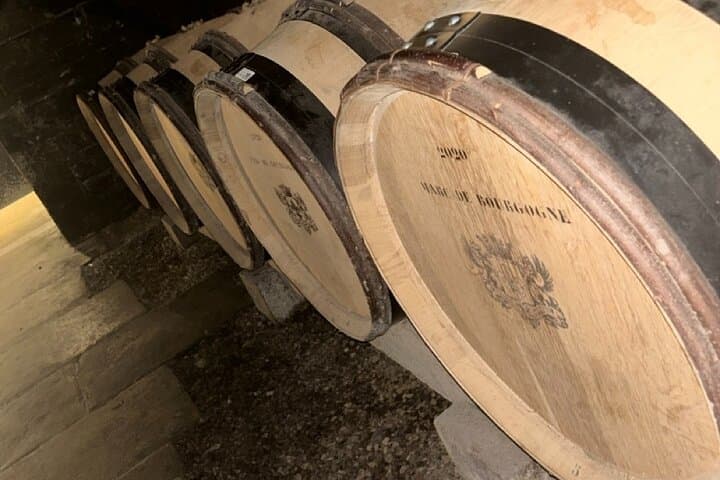 Excursion Full Day Discovery Beaune Vineyards and Gastronomy