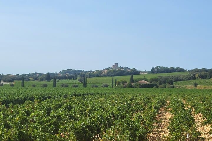 Châteauneuf du Pape
