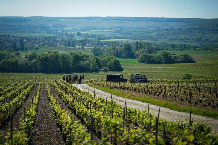 Private Tour of a Wine Estate and Tasting in Trélou-sur-Marne