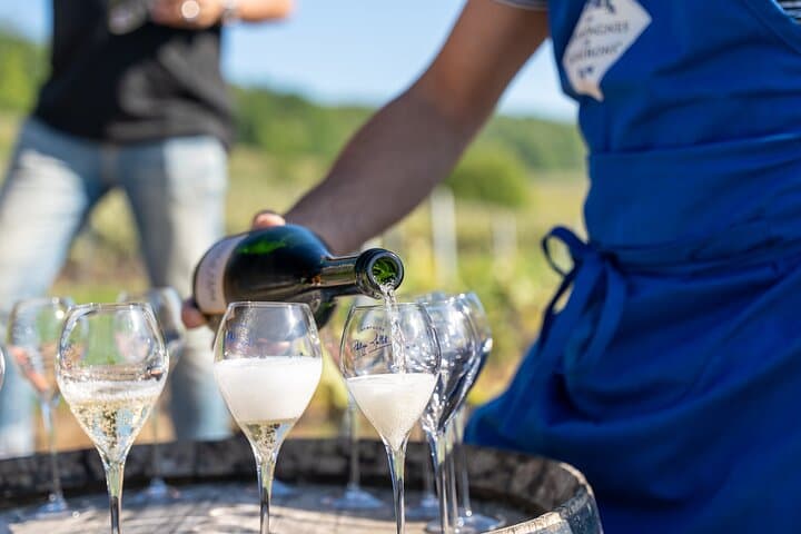 Private Tour of a Wine Estate and Tasting in Trélou-sur-Marne