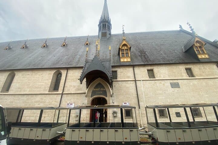 Excursion Full Day Discovery Beaune Vineyards and Gastronomy