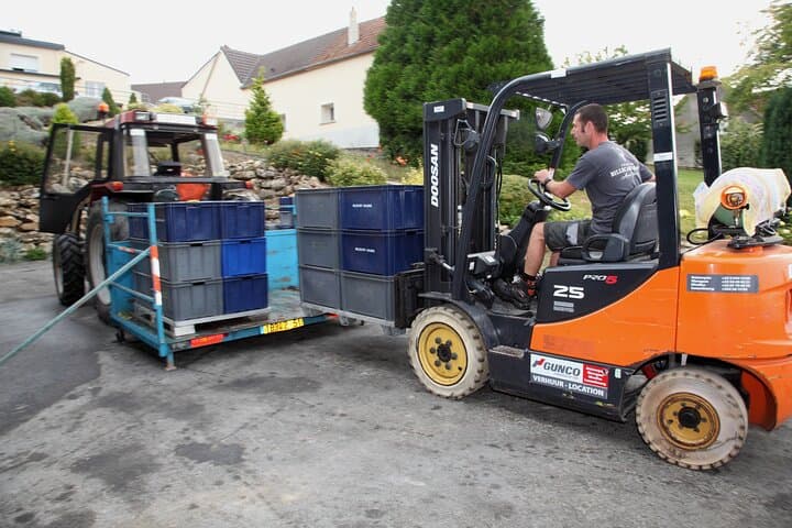 Half Day Grape Harvest Experience with Tasting in Epernay