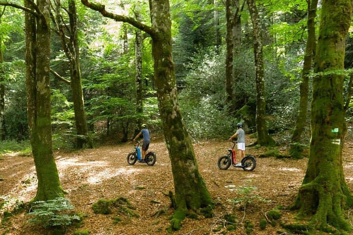 Explore the forests of Haut Languedoc on an electric scooter