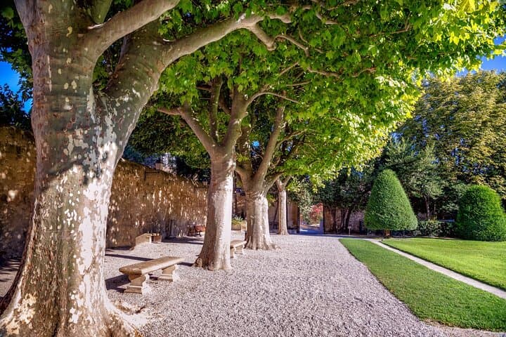 Explore Aix-en-Provence in 60 minutes with a Local