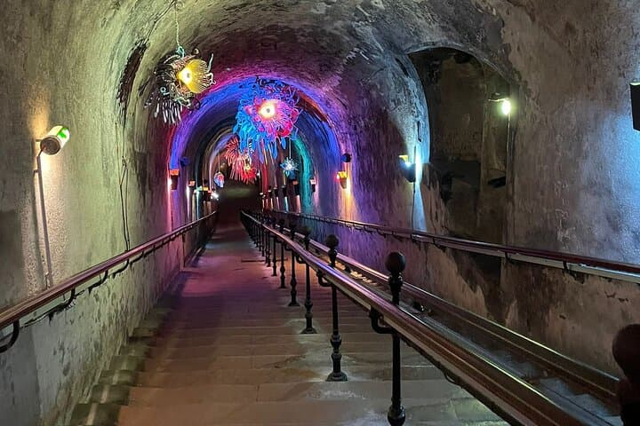 From Paris a Full Day Private Champagne tour with local Tasting