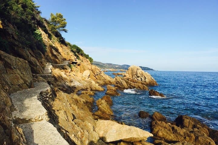 Private Provence Getaway and Wine Tasting from Toulon cruise port