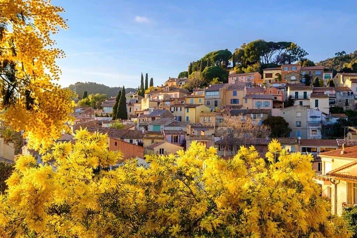 Private Provence Getaway and Wine Tasting from Toulon cruise port