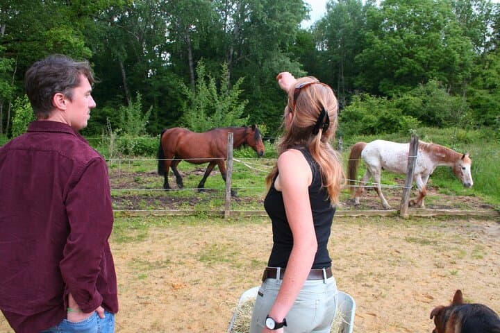 Day Trip from Paris - French Food, Rural Experiences & Horses!