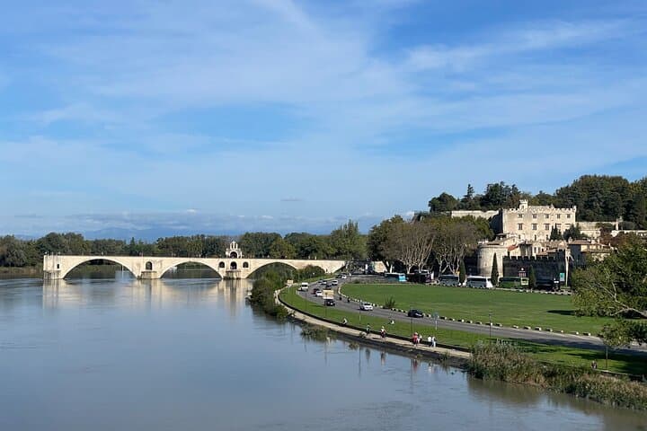 View of Bridge Saint Benezet (Bridge of Avignon) from the Island of the Bartelasse. Avignon, France.