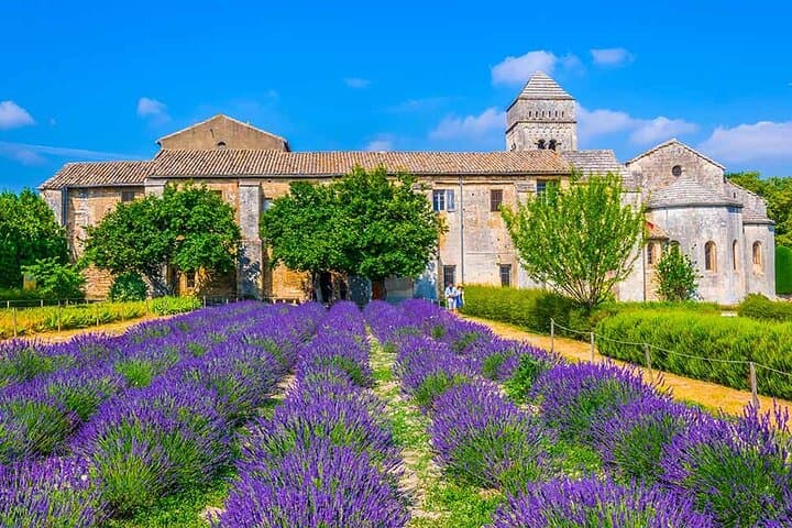 Castle, Villages & Olive Grove Private Tour from Marseille port