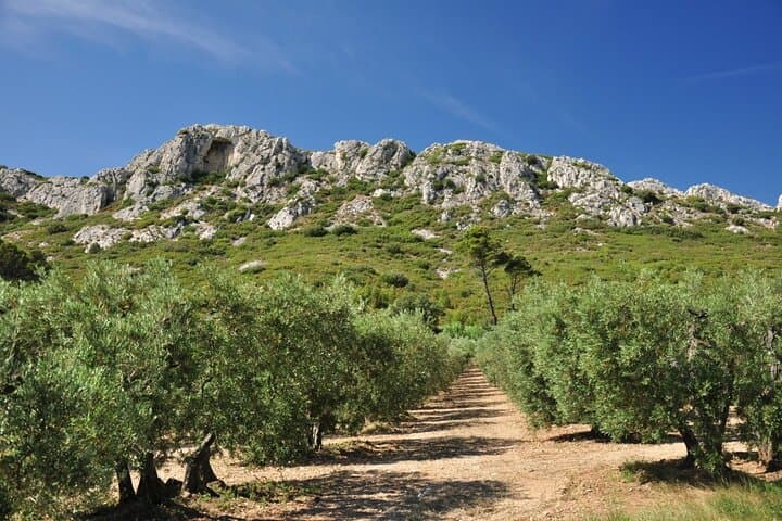 Castle, Villages & Olive Grove Private Tour from Marseille port