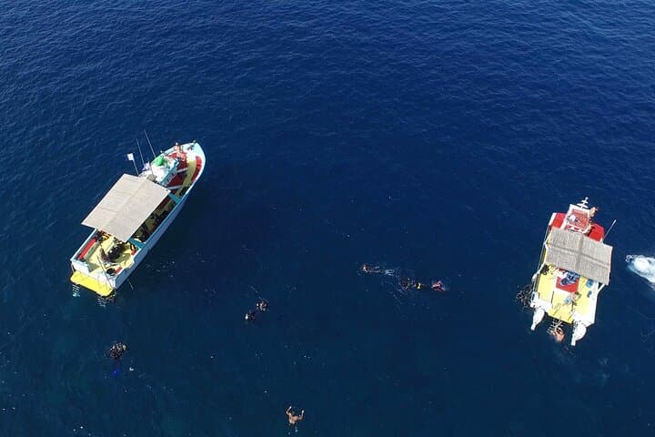 Nice VIP sea walk with snorkeling and diving