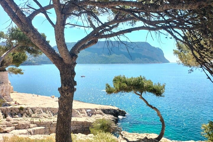 Tailor-Made Provence Tour : Aix, Cassis & Marseille
