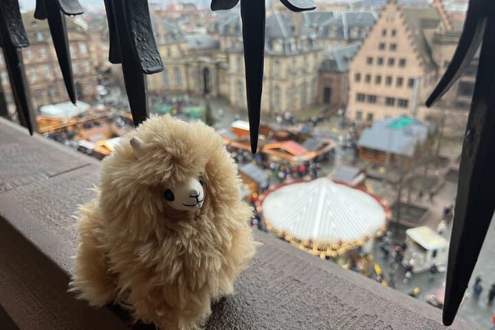 Strasbourg Private Walking Tour