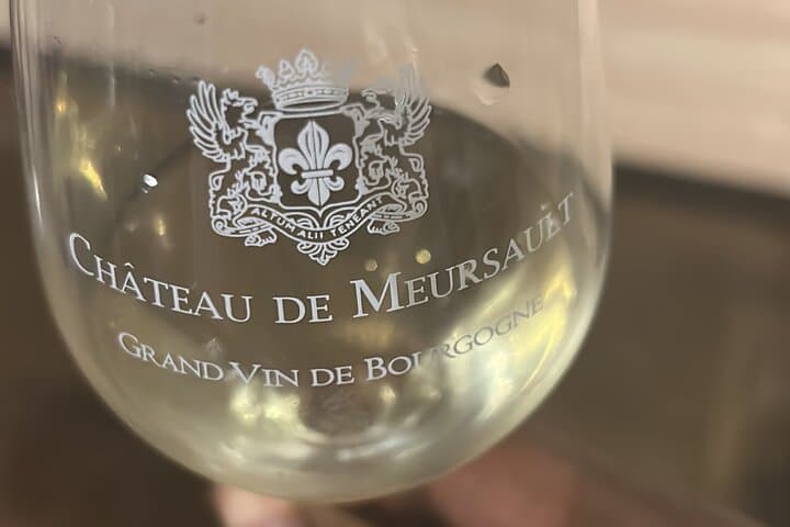 Excursion Full Day Discovery Beaune Vineyards and Gastronomy