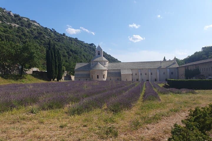 Lavender Tour Sault from Marseille