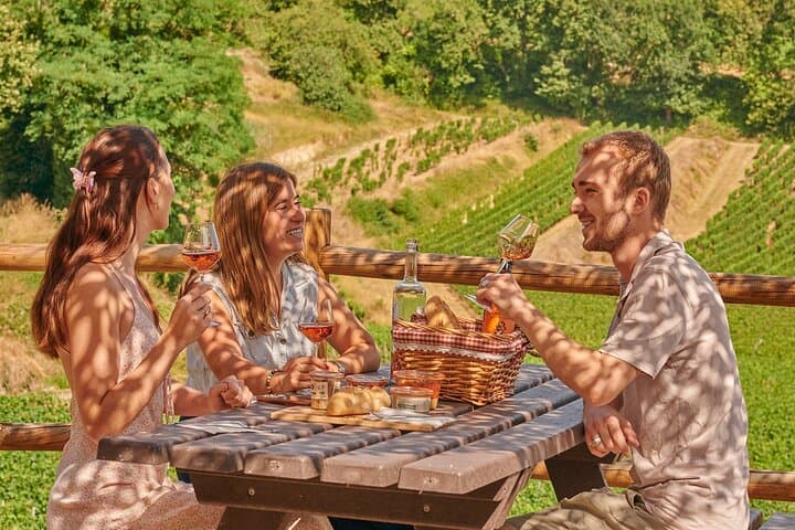 Saint-Emilion Grand Cru Classified: Picnic & Visit in French