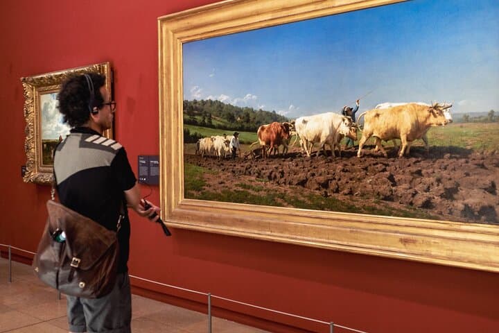 Orsay Museum Private Tour