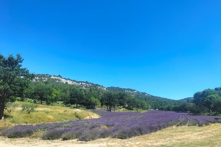 Pearls of Luberon : Gordes, Rousillon & Sénanque Abbey