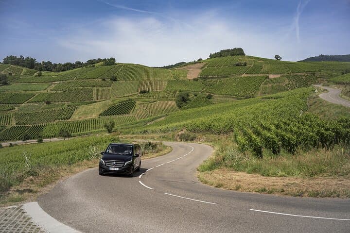 Private Alsace Grand Cru Private Tour from Strasbourg and area