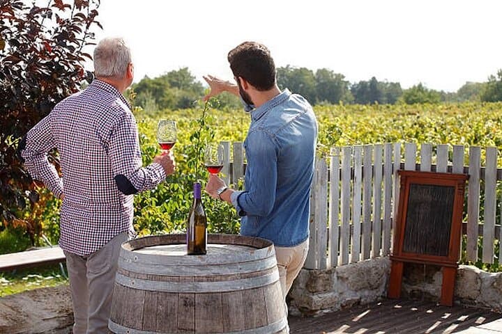 Beaune wine tour - Wine tasting included - Professional guide !
