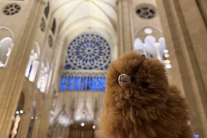 Paris Private Guided Walking Tour with Notre-Dame Visit