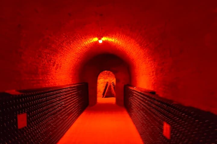 A day in Champagne: visit and tasting