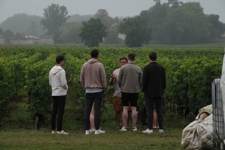 Private Half day E-Bike Tour and Lunch With A WineMaker