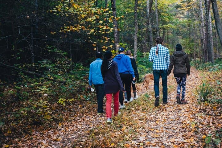 Walk in the nature