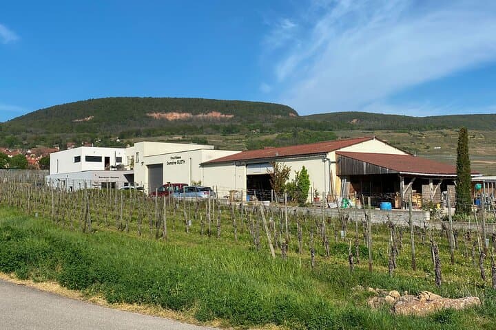 Wine cellar visit and feminine tasting - gourmet formula