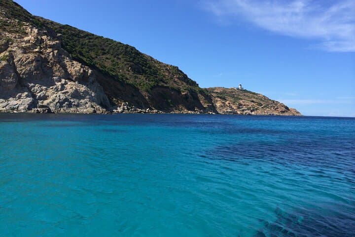 Snorkeling Tour Gulf Calvi