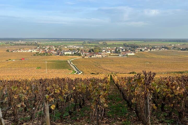 The famous village of Vosne-Romanée