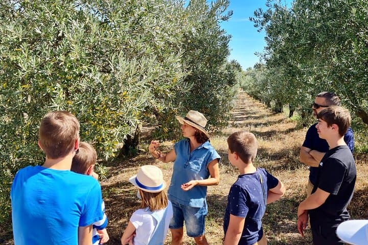 Private guided tour, olive grove in Salon de Provence.
