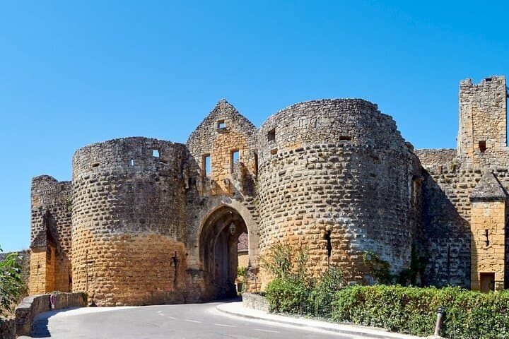 Domme, Beynac and La Roque-Gageac: Private Dordogne Villages Tour