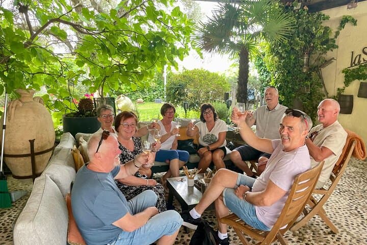 Half-day Wine Tour in Bellet wine region from Nice
