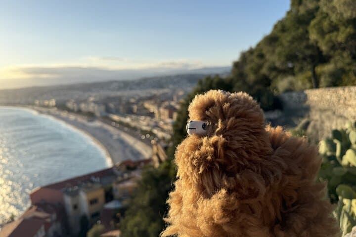 All Azure Coast in One Day Nice, Antibes, Cannes, Napoule, Grasse