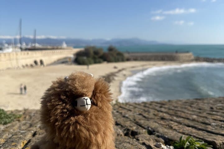 All Azure Coast in One Day Nice, Antibes, Cannes, Napoule, Grasse