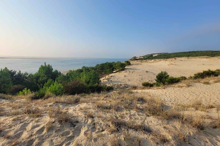 Private Tour in Dune Du Pilat and Oyster Village