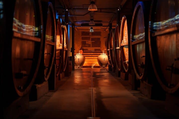 Immersive cellar tour, tasting and board meal