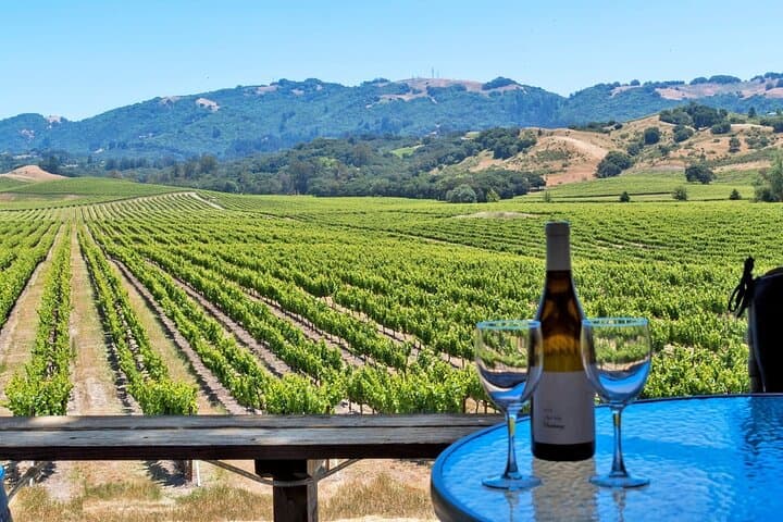 Private Wine and Champagne Tour from Paris